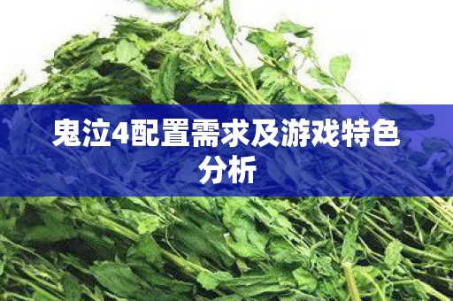 鬼泣4配置需求及游戏特色分析图片
