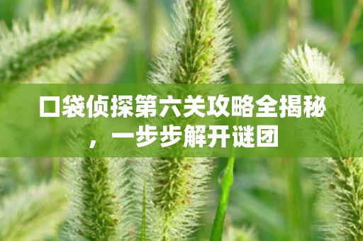 口袋侦探第六关攻略全揭秘图片