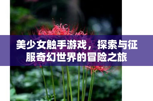 探索与征服奇幻世界的冒险之旅图片