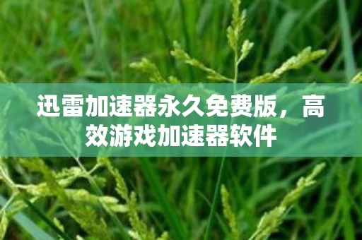 迅雷加速器永久免费版图片