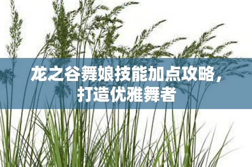 龙之谷舞娘技能加点攻略图片