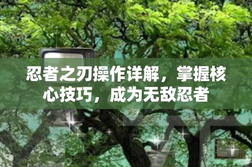 忍者之刃操作详解图片
