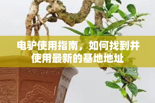 如何找到并使用最新的基地地址图片