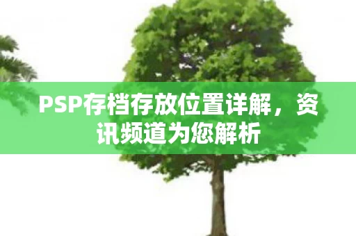 PSP存档存放位置详解图片