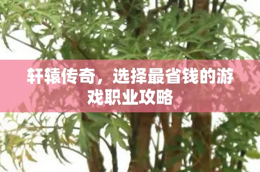 选择最省钱的游戏职业攻略图片