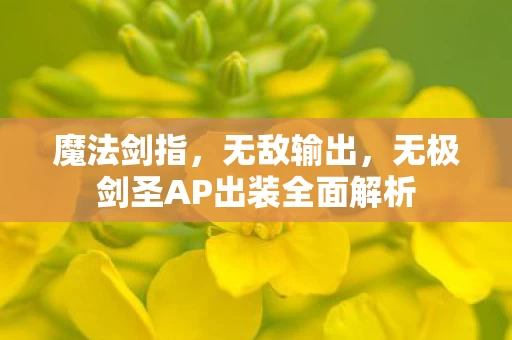 无极剑圣AP出装全面解析图片