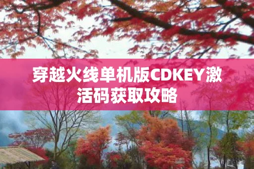 穿越火线单机版CDKEY激活码获取攻略图片