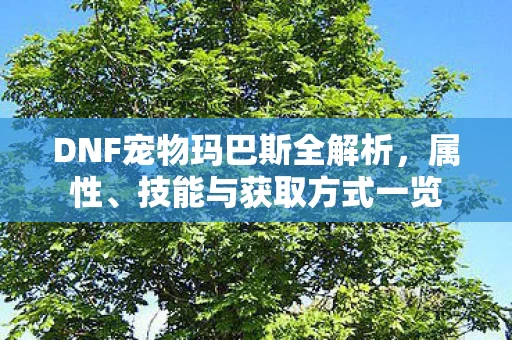 DNF宠物玛巴斯全解析图片