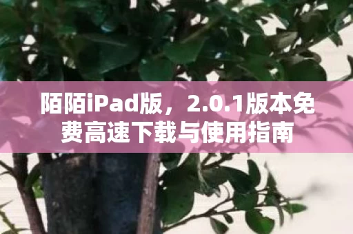 1版本免费高速下载与使用指南图片