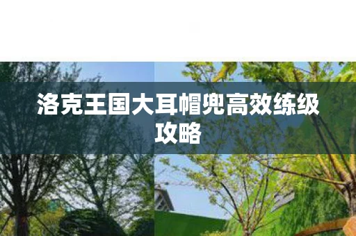 洛克王国大耳帽兜高效练级攻略图片