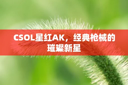 经典枪械的璀璨新星图片