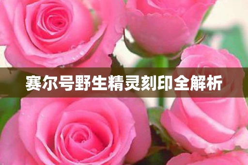 赛尔号野生精灵刻印全解析图片