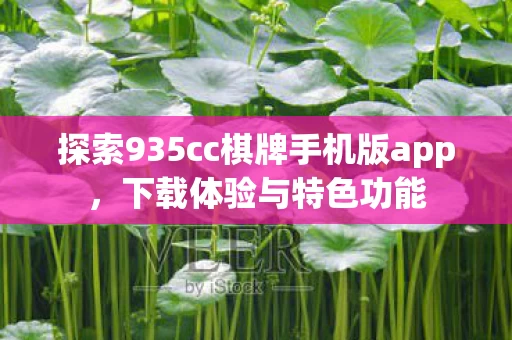 探索935cc棋牌手机版app图片