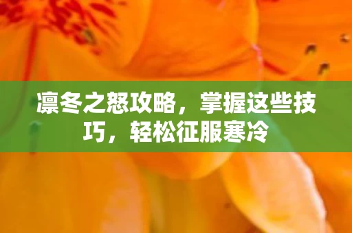 凛冬之怒攻略图片
