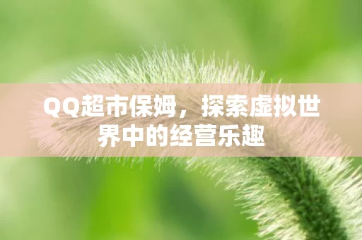 探索虚拟世界中的经营乐趣图片