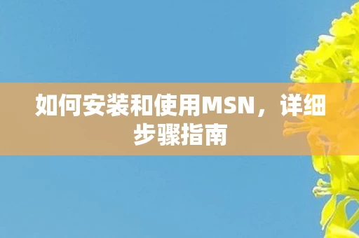 如何安装和使用MSN图片