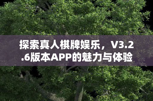 6版本APP的魅力与体验图片
