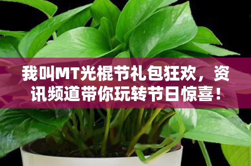 资讯频道带你玩转节日惊喜图片