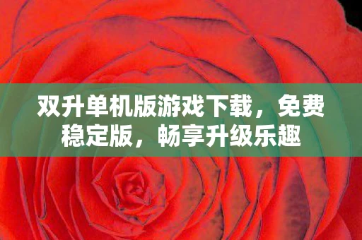 双升单机版游戏下载图片
