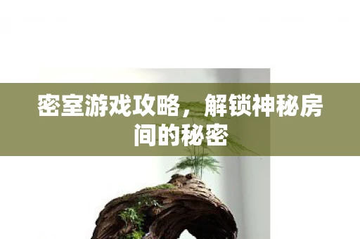 解锁神秘房间的秘密图片