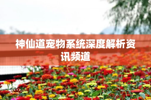 神仙道宠物系统深度解析资讯频道图片
