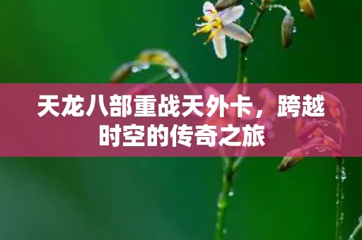 天龙八部重战天外卡图片
