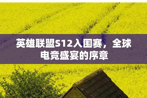 英雄联盟S12入围赛图片
