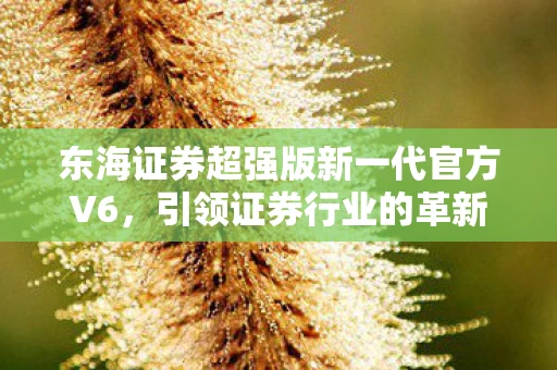 东海证券超强版新一代官方V6图片