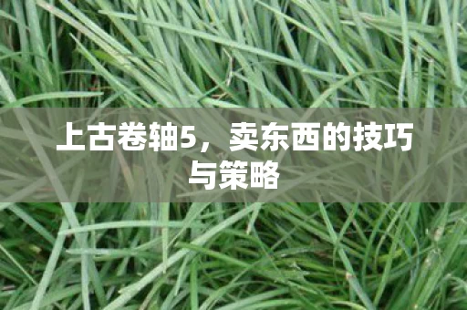 卖东西的技巧与策略图片