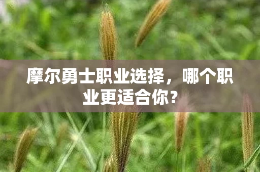 摩尔勇士职业选择图片