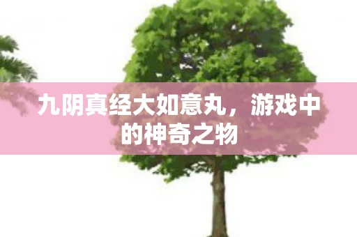 九阴真经大如意丸图片