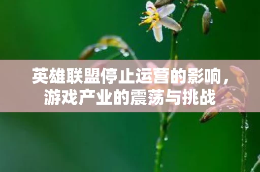 英雄联盟停止运营的影响图片
