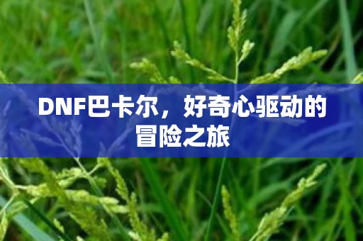 好奇心驱动的冒险之旅图片