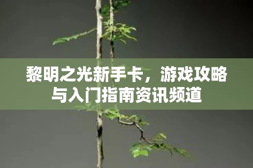 游戏攻略与入门指南资讯频道图片
