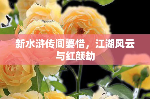 江湖风云与红颜劫图片