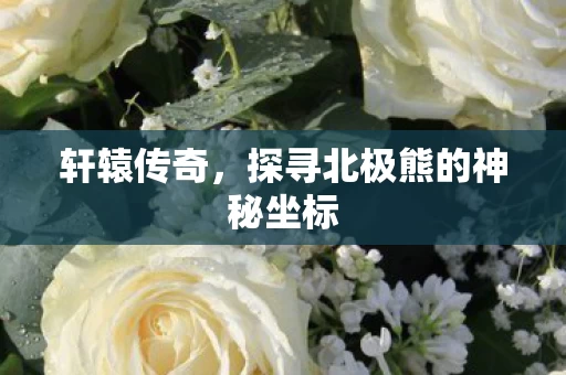 探寻北极熊的神秘坐标图片