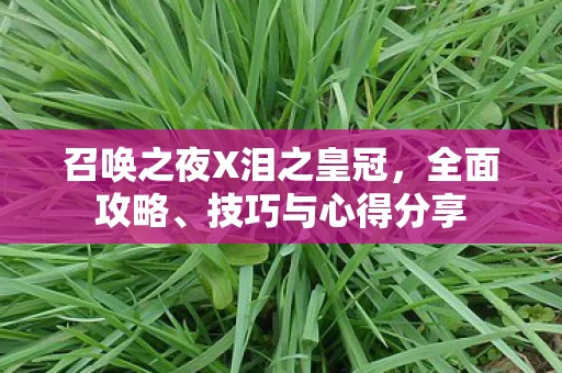 召唤之夜X泪之皇冠图片