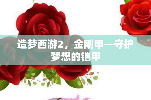 守护梦想的铠甲图片