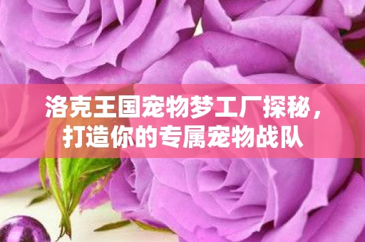 洛克王国宠物梦工厂探秘图片