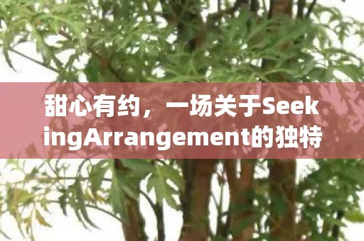 一场关于SeekingArrangement的独特邂逅图片