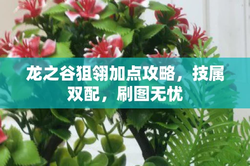龙之谷狙翎加点攻略图片