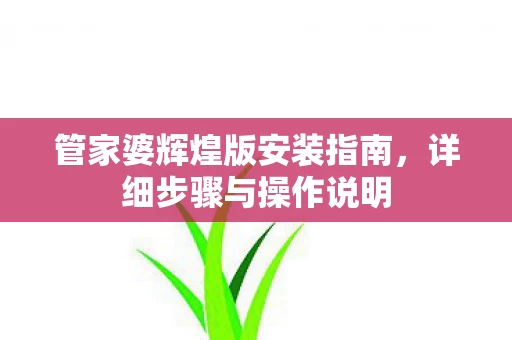 管家婆辉煌版安装指南图片