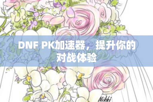 DNF PK加速器图片
