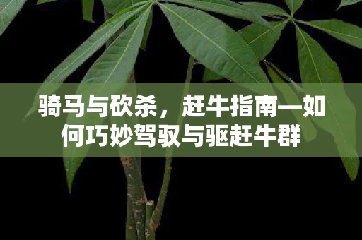 如何巧妙驾驭与驱赶牛群图片