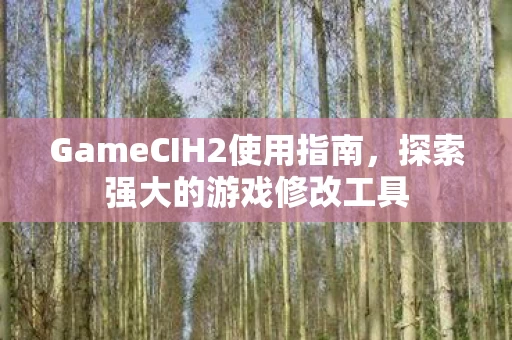 GameCIH2使用指南图片