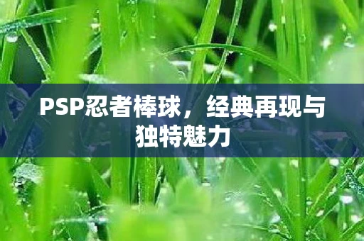经典再现与独特魅力图片