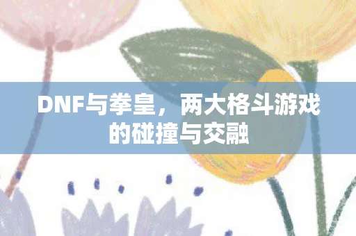 两大格斗游戏的碰撞与交融图片