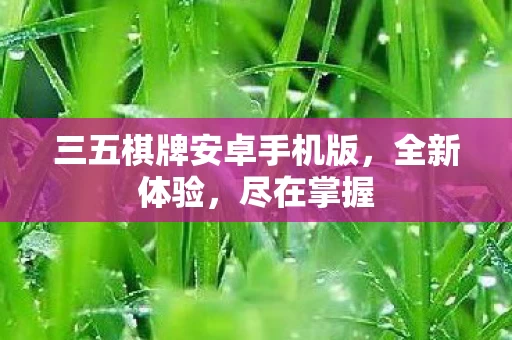 三五棋牌安卓手机版图片