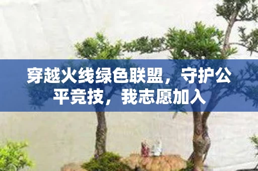 穿越火线绿色联盟图片