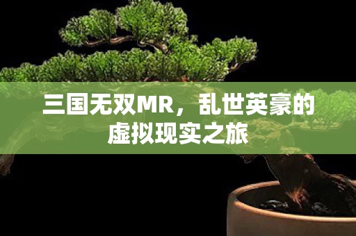 乱世英豪的虚拟现实之旅图片